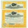 Image 1 : Yellow Gold of Cripple Creek Stock Certificates