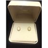 Image 1 : SET OF 10K STAMPED MOTHER OF PEARL EARRINGS