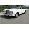 Image 3 : 1994 White Rolls Royce Corniche IV