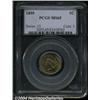 Image 3 : 1859 1C MS65 PCGS.