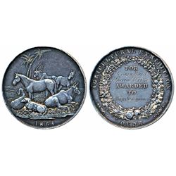 Agricultural Exhibition Oudh,  Silver Medal,  61.8g