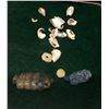 Image 3 : Prehistoric Turquoise, Shell and Azurite Beads