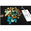 Image 5 : Group of Turquoise Cabochons