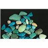 Image 3 : Group of Turquoise Cabochons