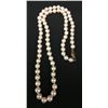 Image 1 : Pearl Necklace with Gold Findings