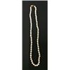 Image 4 : Pearl Necklace with Gold Findings