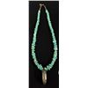 Image 1 : Sterling Bear Claw and Turquoise Necklace