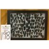 Image 6 : Obsidian Arrowheads Display