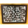 Image 7 : Obsidian Arrowheads Display
