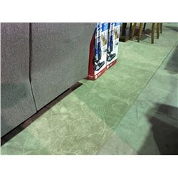 12' X 16' MINT GREEN SCULPTED AREA RUG