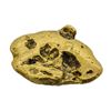 Image 1 : 14.0 Gram Gold Nugget