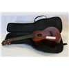 Image 1 : HAWAIIN UKELELE IN CASE
