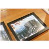 Image 3 : TWO LORD BARNES FRAMED ANIMAL PRINTS