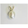 Image 1 : #10-14KT YELLOW GOLD FRESHWATER PEARL