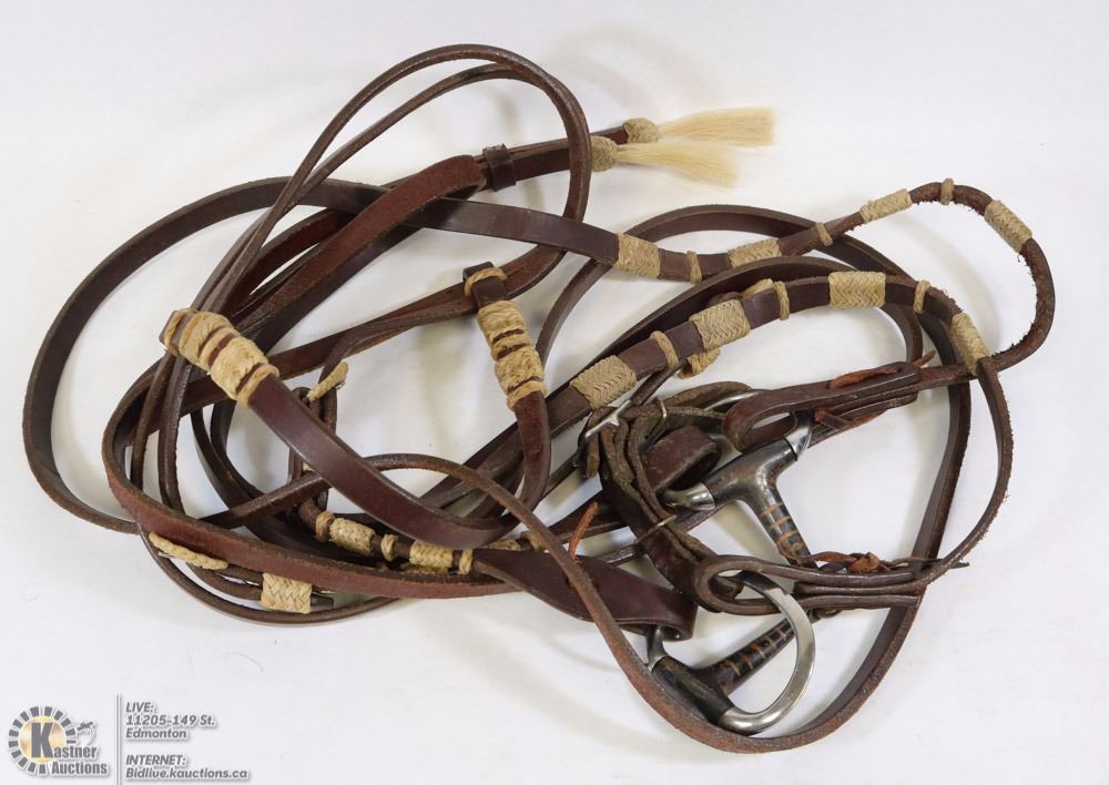 LEATHER BRIDLE AND BIT