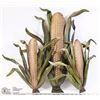 Image 1 : 3 NEW METAL CORNCOB WALL DISPLAYS
