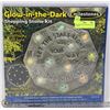 Image 1 : NEW MILESTONE STEPPING STONE GLOW IN