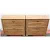 Image 1 : PAIR OF 34" X 17"X31"H TWO DRAWER CABINETS