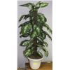 Image 1 : 4 FOOT ARTIFICIAL DIEFFENBACHIA HOUSE PLANT