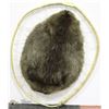Image 1 : TANNED BEAVER PELT MOUNTED