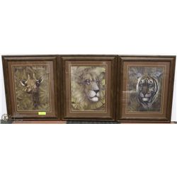 SET OF 3 FRAMED 20X24 AFRICAN WILDLIFE PICTURES