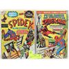 Image 1 : PAIR OF VINTAGE #1 SPIDER-MAN COMICS