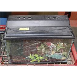 10 GALLON AQUARIUM WITH CONTENTS