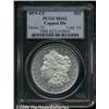 Image 3 : 1879-CC $1 Capped Die MS62 PCGS.