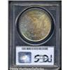 Image 2 : 1884-O $1 MS66 PCGS.