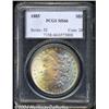 Image 1 : 1885 $1 MS66 PCGS.