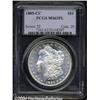 Image 1 : 1885-CC $1 MS63 Prooflike PCGS.