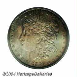 1896-O $1 MS62 PCGS.