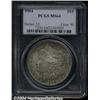 Image 1 : 1904 $1 MS64 PCGS.