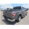 Image 4 : 2010 - FORD F150
