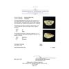 Image 5 : 0.55 ctw Diamond Ring - 14KT Yellow Gold