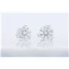 Platinum 1.80ctw Diamond Stud Earrings