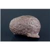 Image 2 : Meteorite Stone
