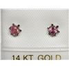 Image 1 : EARRINGS - 0.2CT ROUND FACETED TOURMALINE IN 14KT WHITE GOLD SETTING - RETAIL ESTIMATE $350