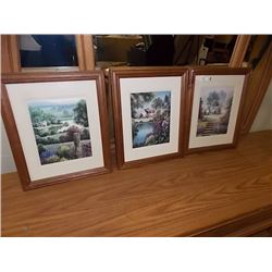 FRAMED PICTURES - 3 TTL - LANDSCAPES