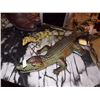 Image 1 : ALLIGATOR & LIZZARD