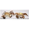 Image 1 : PAIR OF CARVED WOOD CRABS