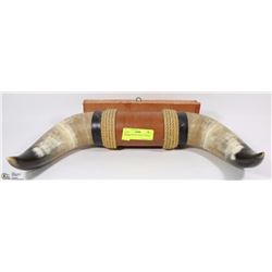 STEER HORNS MOUNTED 18"WIDE