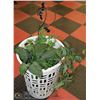 Image 1 : STERLITE LAUNDRY HAMPER WITH 2 ARTIFICIAL PLANTS