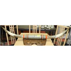 TEXAS LONG HORNS MOUNTED 5' 8" LONG