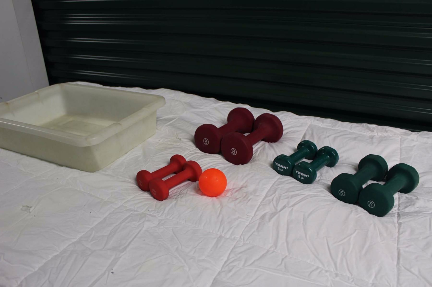 Weight Set Container Set of Weights (2lbs, 3lbs, 5lbs & 8lbs) With Plastic Container