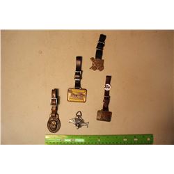 Lot Of Watch Fobs (5)