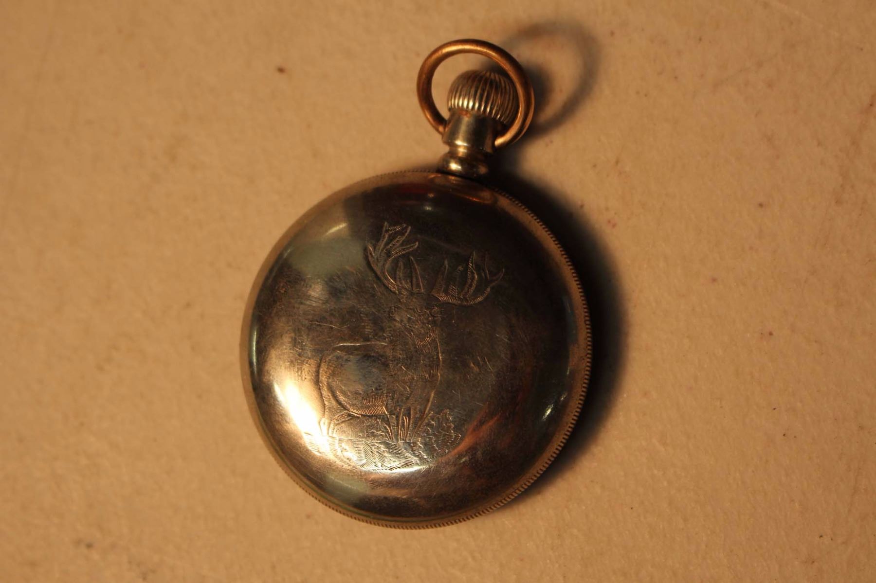 Waltham Pocket Watch, Deer Engraved Back Plate