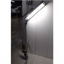 Extendable Light (Working)