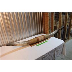 Set Of Wood Mounted Horns