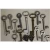 Image 5 : Lot of Skeleton Keys (22)
